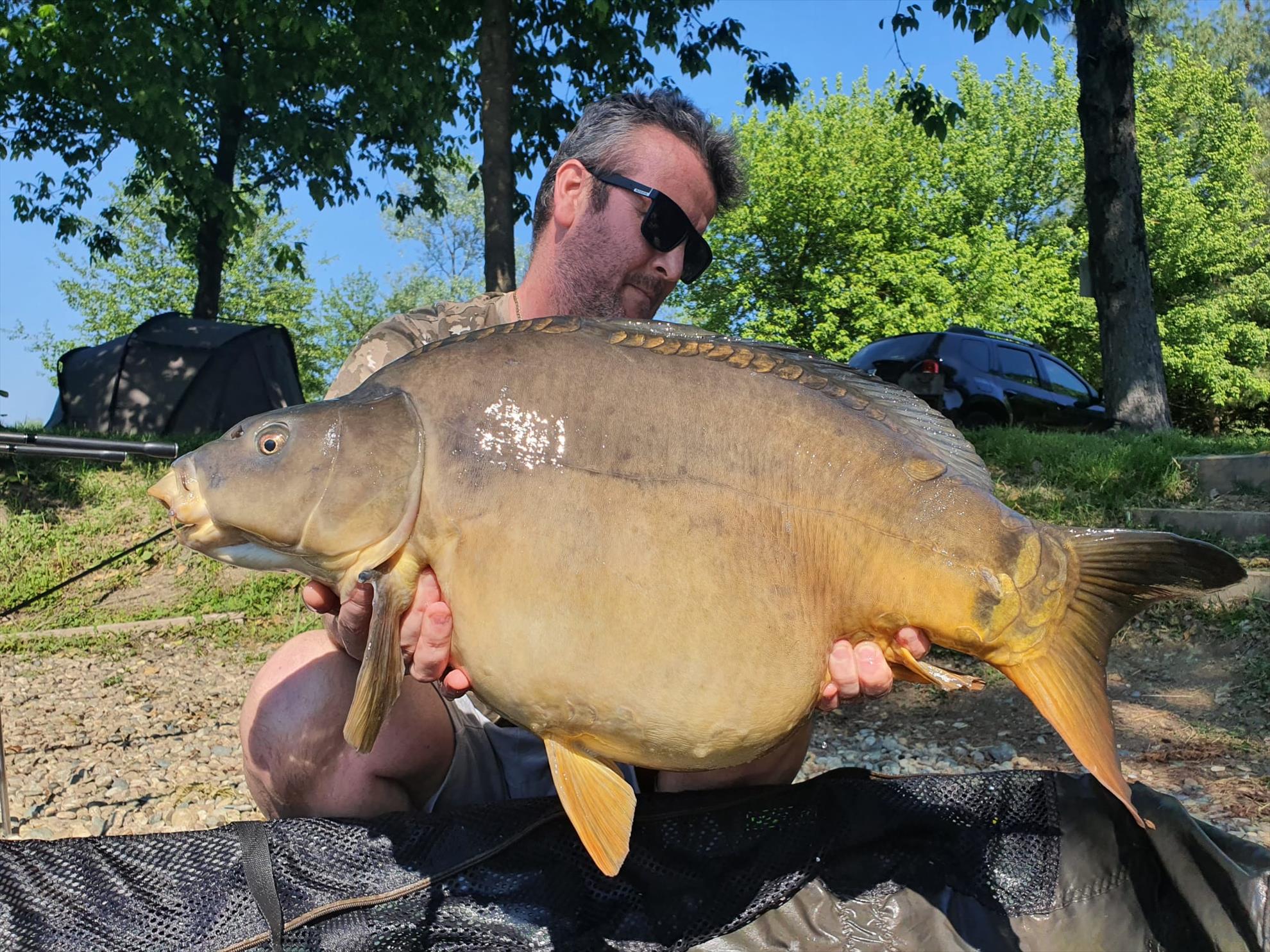 CORONA CARP - img-20200507-wa0039.jpg